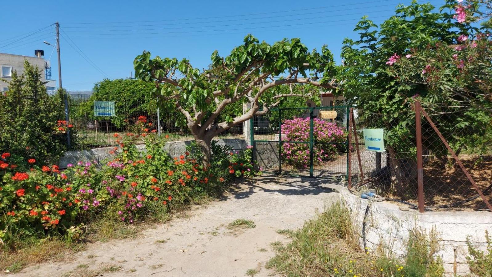 Agritourism Cottage Near Sitia Exteriör bild
